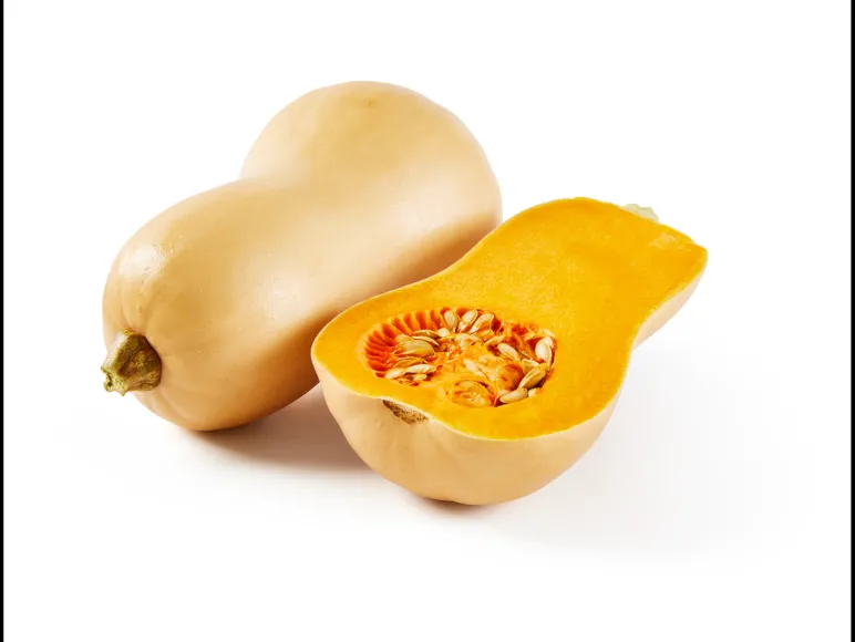 Bio flespompoen of hokkaido pompoen< Discount