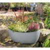 Bloempot<Scheurich Online