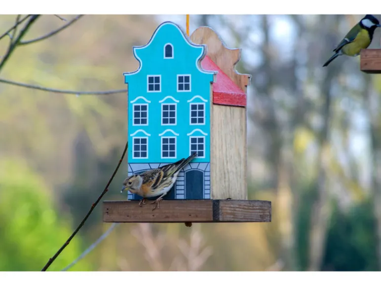 Decoratief vogelhuisje<dobar Hot