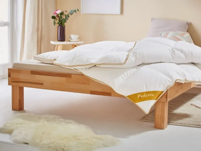 deLuxe carré ganzendonzen dekbed Gold-Edition warm<Balette Outlet
