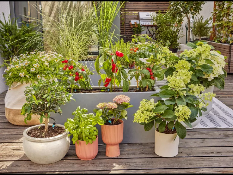 Druppelirrigatie voor de tuin Micro-Drip-System<Gardena