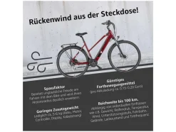 E-bike Trekking XC940 Expedition 28"<TELEFUNKEN Discount