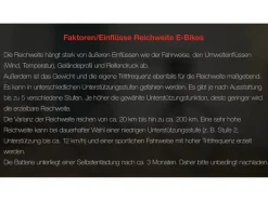 Elektrische fiets Trekking Expedition XT480 / XT481<TELEFUNKEN