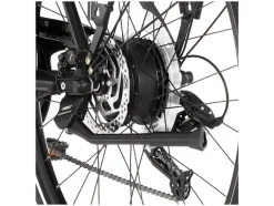 Elektrische fiets Trekking ETH/ETD 2206<FISCHER