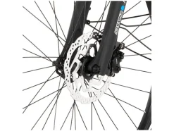 Elektrische fiets Trekking ETH/ETD 2206<FISCHER