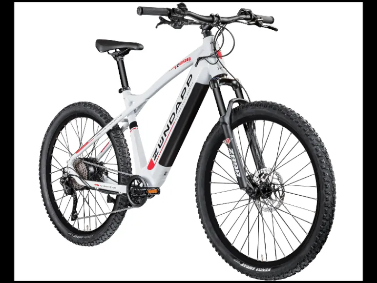 Elektrische mountainbike Z898<Zündapp Best
