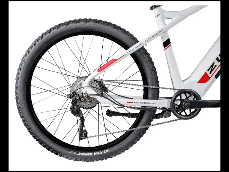 Elektrische mountainbike Z898<Zündapp Best