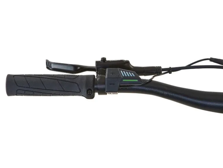 Elektrische mountainbike DICE 1.0<Prophete Outlet