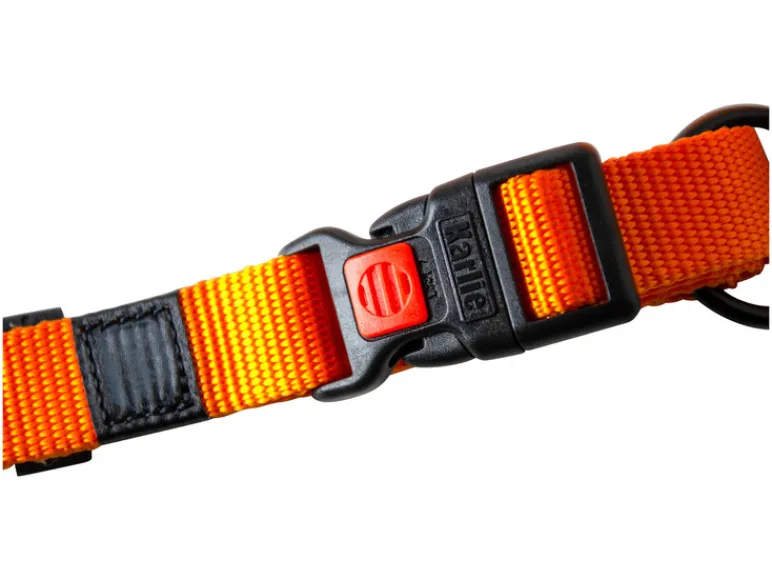 Halsband met lijn<Karlie Hot