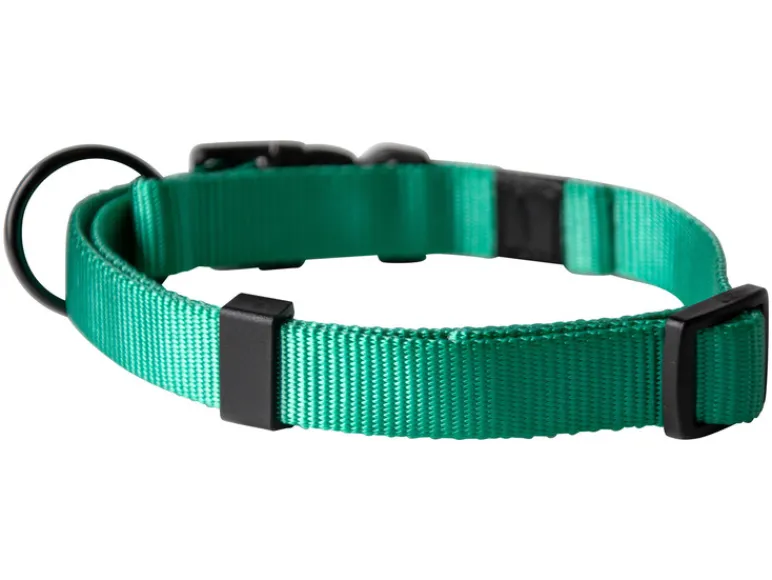 Halsband met lijn<Karlie Hot