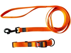 Halsband met lijn<Karlie Hot