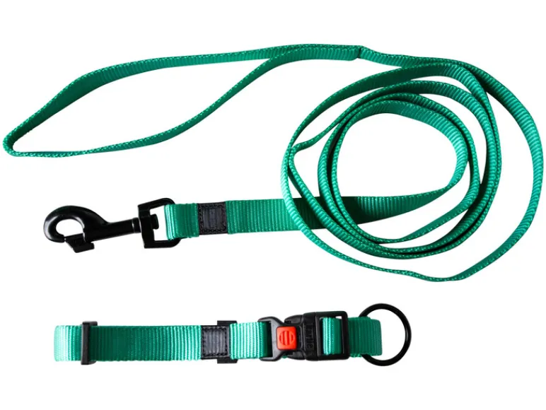 Halsband met lijn<Karlie Hot
