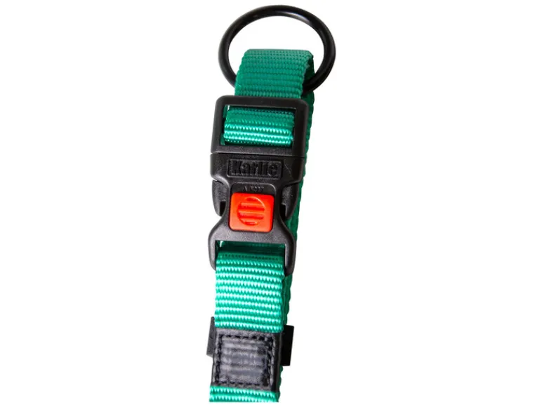Halsband met lijn<Karlie Hot