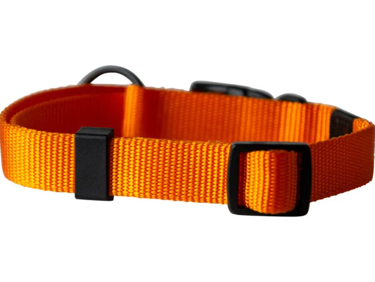 Halsband met lijn<Karlie Hot