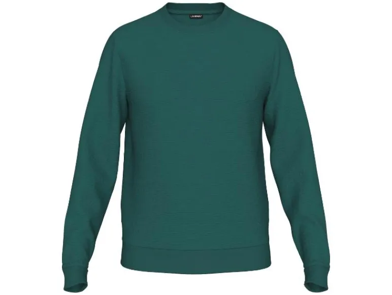 Heren sweater<LIVERGY® Best