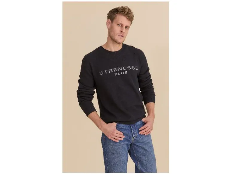 Heren trui<Strenesse Blue