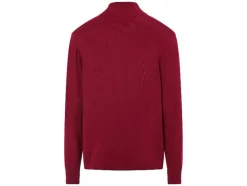 Heren trui<LIVERGY® Best