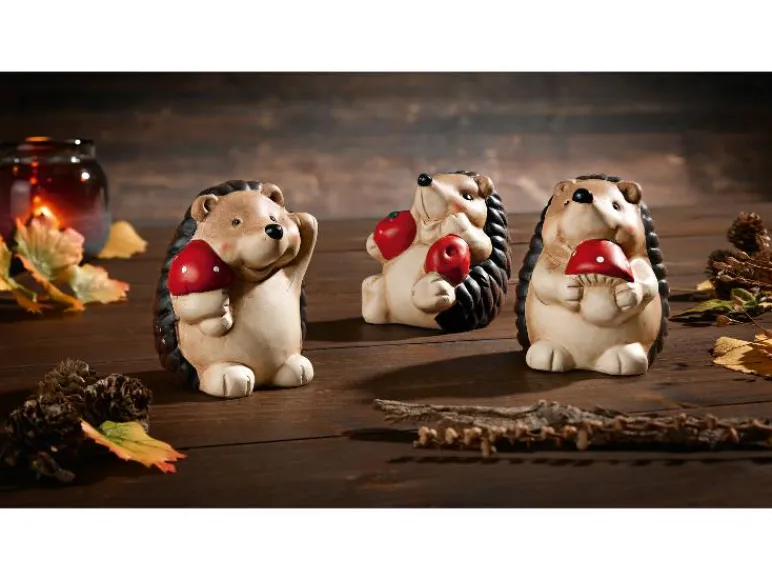 Herfst decoratie<LIVARNO home
