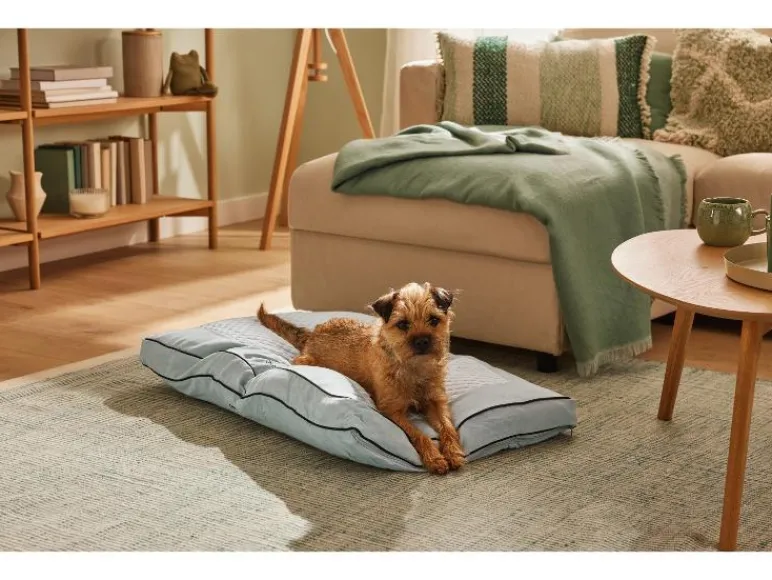 Hondenbed 90 x 60 cm<zoofari® Discount