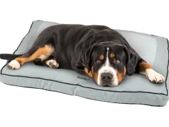 Hondenbed 90 x 60 cm<zoofari® Discount