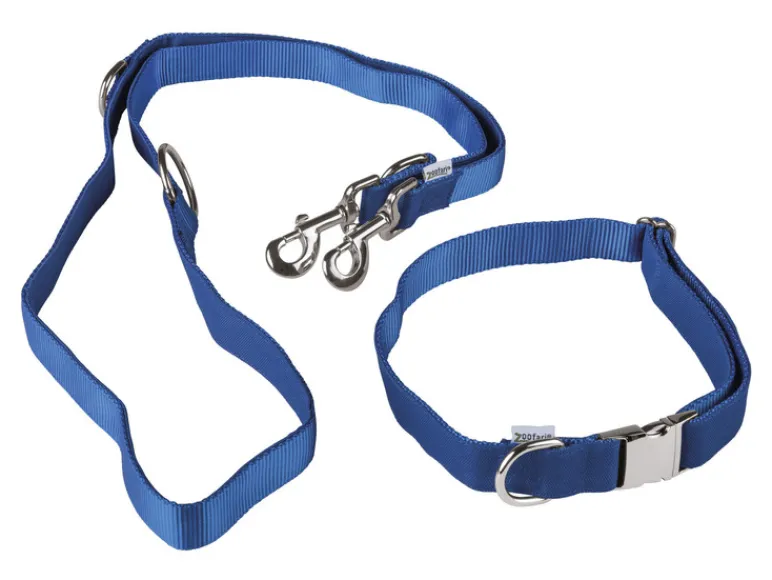 Hondenhalsband<zoofari®