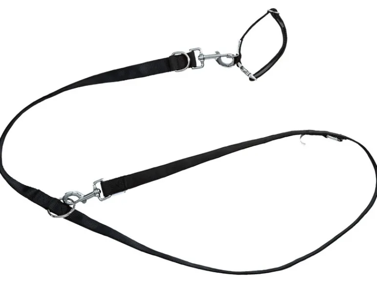 Hondenhalsband en riem<zoofari® Hot
