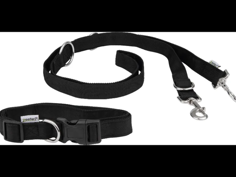 Hondenriem met halsband of hondenriem<zoofari® Best