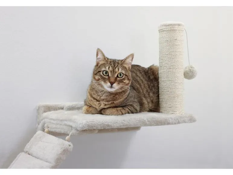 Katten klimmuur<KERBL Online