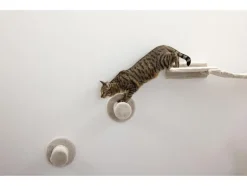 Katten klimmuur<KERBL Online