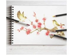 Kleurpotloden of aquarelpotloden<crelando® Hot
