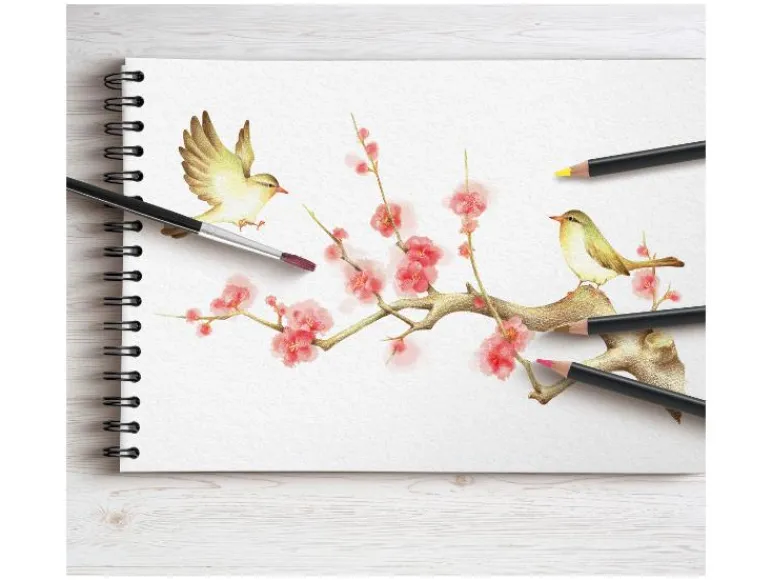 Kleurpotloden of aquarelpotloden<crelando® Hot