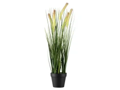 Kunstplant<LIVARNO home Sale