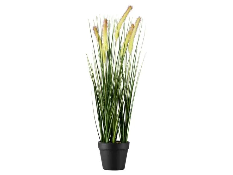 Kunstplant<LIVARNO home Sale