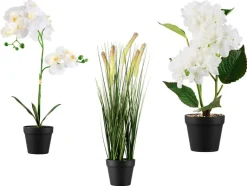Kunstplant<LIVARNO home Sale