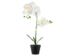 Kunstplant<LIVARNO home Sale