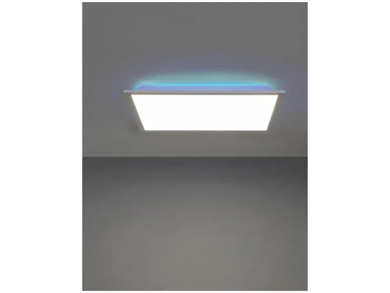 LED-plafondlamp<LIVARNO home Sale