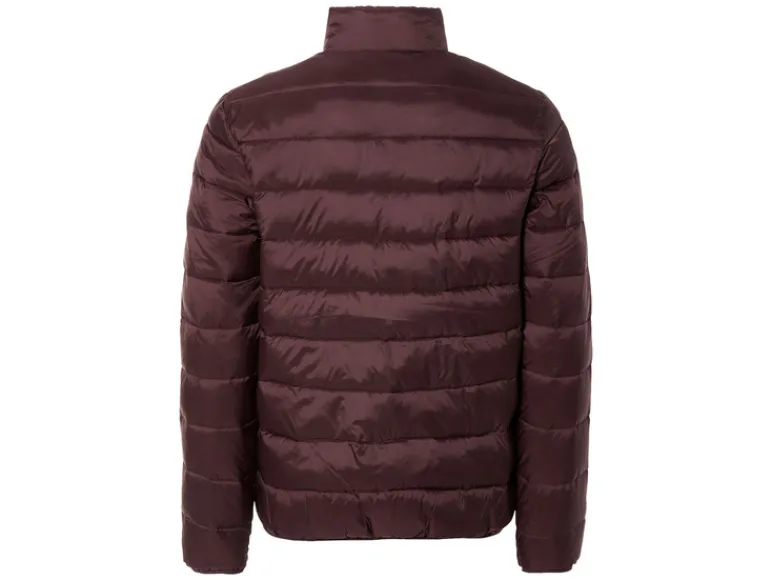 Lightweight-jack<LIVERGY® New