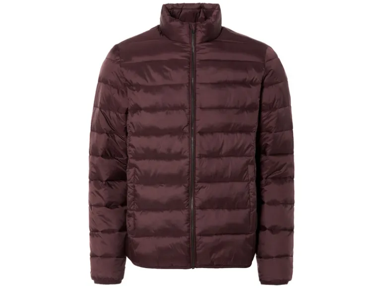 Lightweight-jack<LIVERGY® New