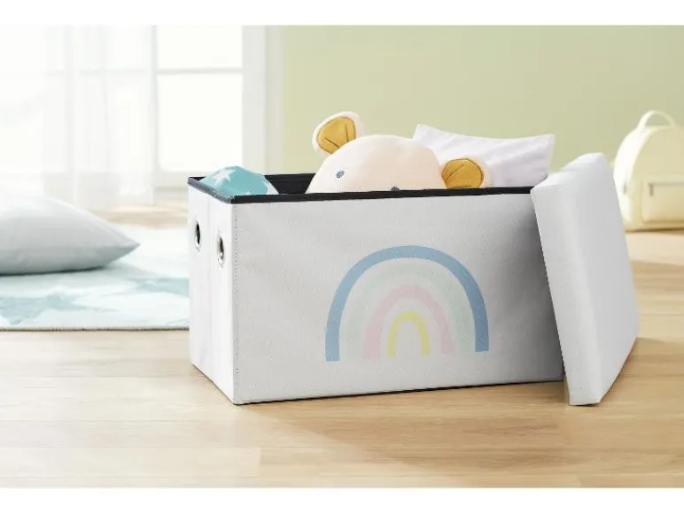 Opbergkist<LIVARNO home Discount