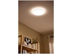 Plafondlamp<LIVARNO® Sale
