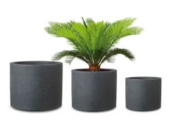 Plantenbak<Scheurich Online