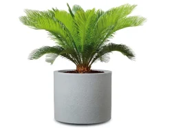 Plantenbak<Scheurich Online