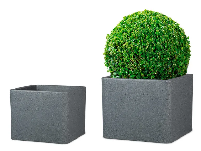 Plantenbak<Scheurich