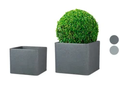 Plantenbak<Scheurich