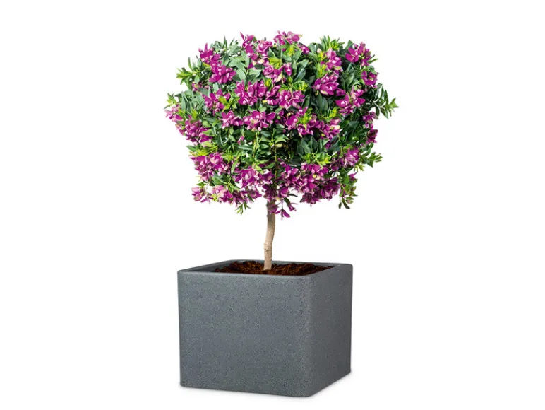 Plantenbak<Scheurich