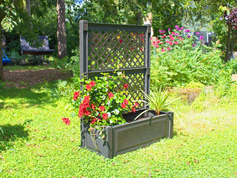 Plantenbak met klimrek<KHW Clearance