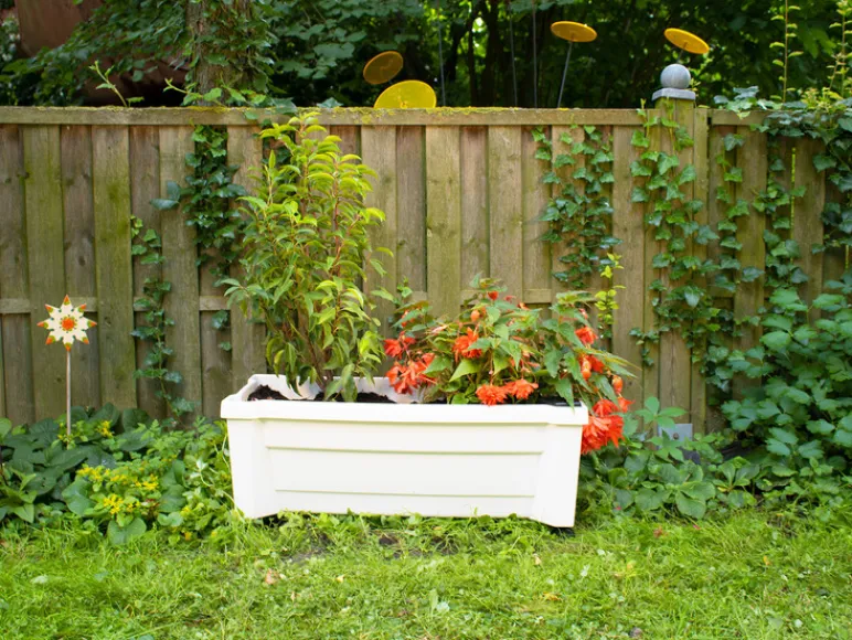 Plantenbak met wielen<KHW Sale