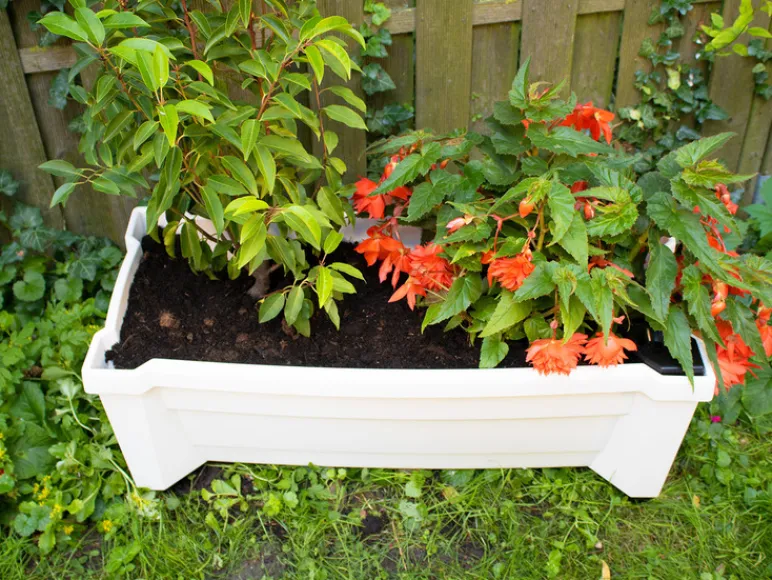 Plantenbak met wielen<KHW Sale