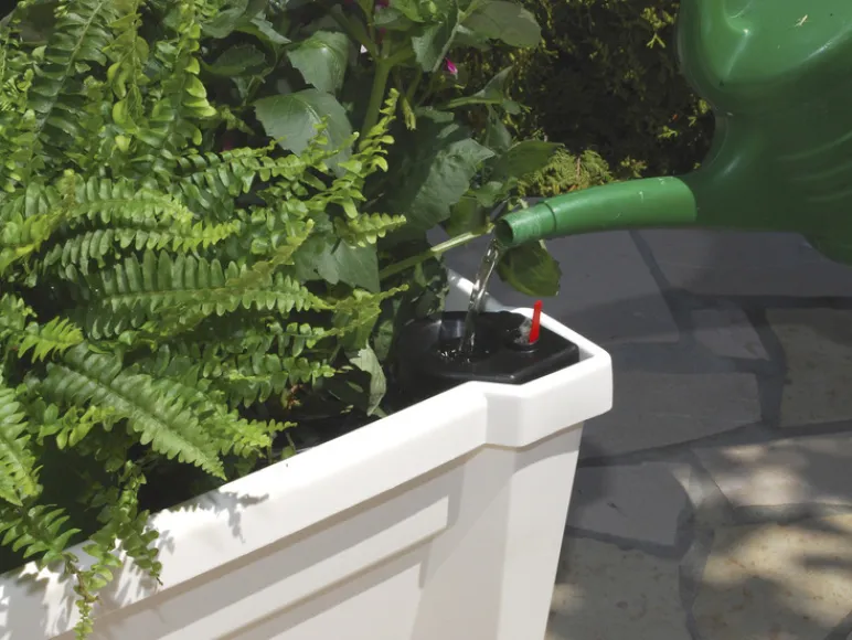 Plantenbak met wielen<KHW Sale