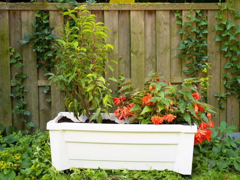 Plantenbak met wielen<KHW Sale